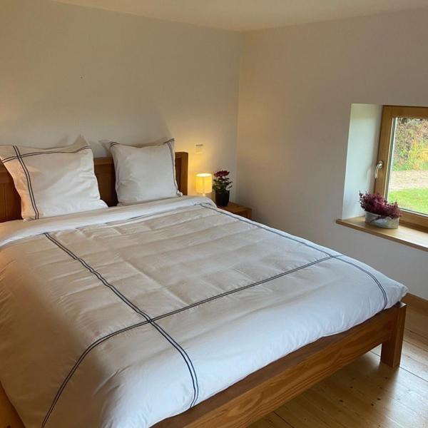 Maison D'Hotes Des Hauts De La Piquante Pierre バッス・シュル・ル・リュプト エクステリア 写真