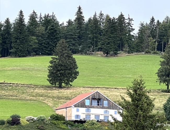 Maison D'Hotes Des Hauts De La Piquante Pierre バッス・シュル・ル・リュプト エクステリア 写真